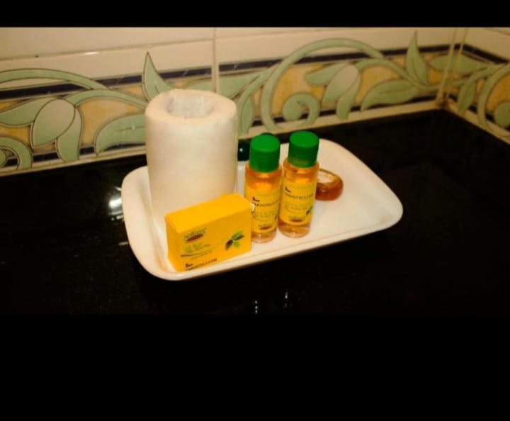 Mohan Palace Guest house 3*